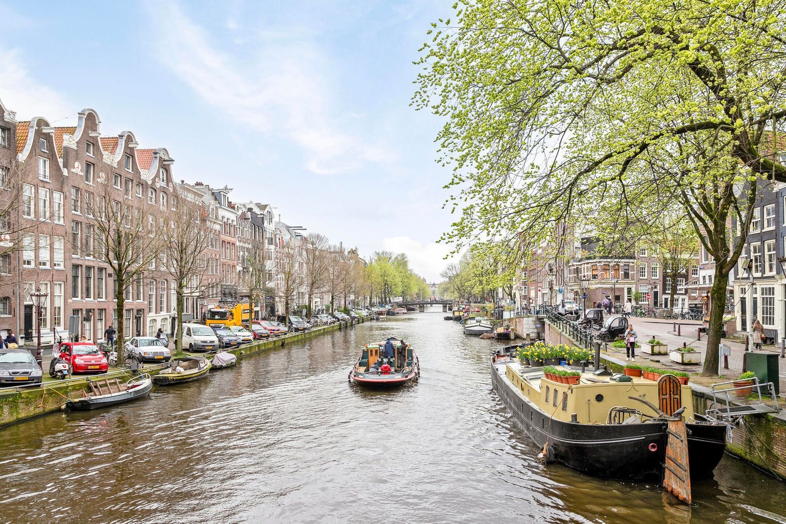 Lauriergracht, Amsterdam foto-0